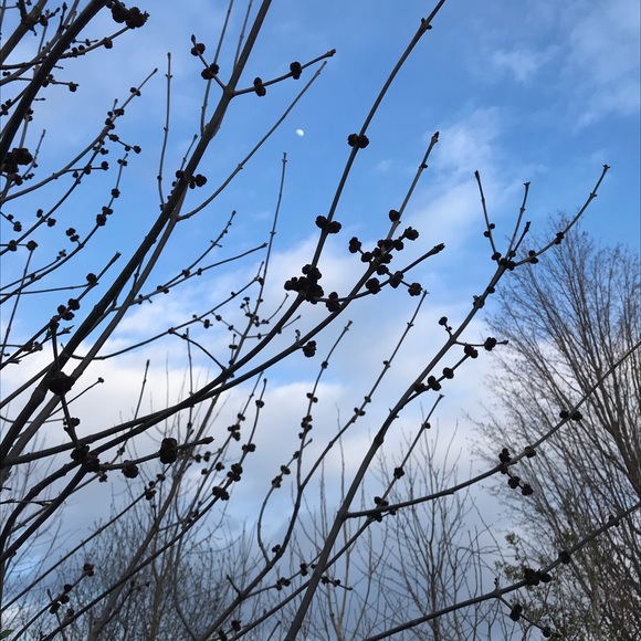 Meet your Posher, Amanda - Picture 1 of 1